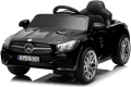 sl500-2.JPG