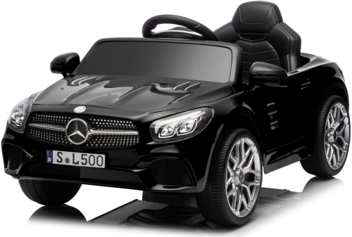 sl500-2.JPG