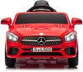 sl500-18.JPG