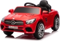 sl500-19.JPG