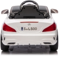 sl500-11.JPG
