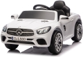sl500-9.JPG