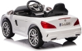 sl500-10.JPG