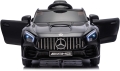 mercedes-gtr-2.JPG