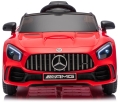 mercedes-gtr-18.JPG
