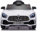 mercedes-gtr-22.JPG